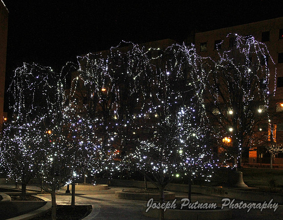 IMG_9657 copy