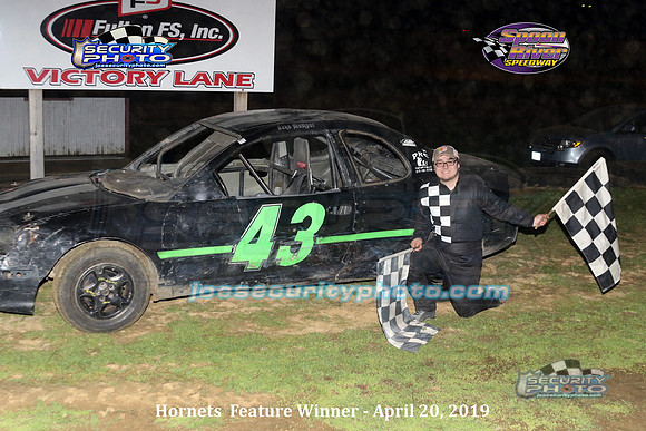 hornets feature winner_3473 copy