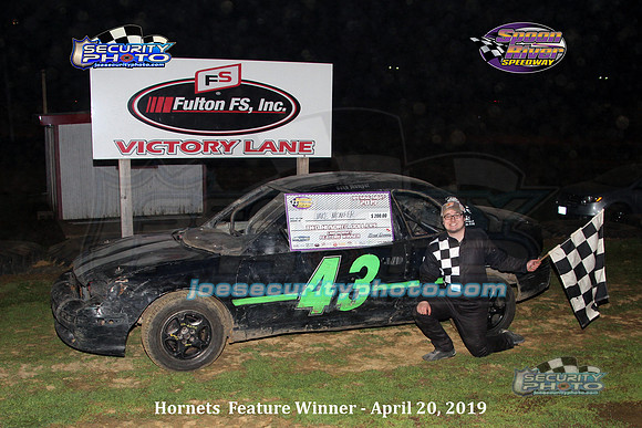 hornets feature winner_3475 copy