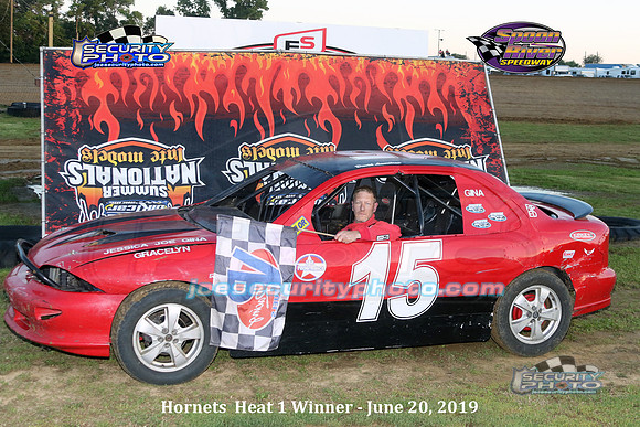 hornets heat winner 9163 copy
