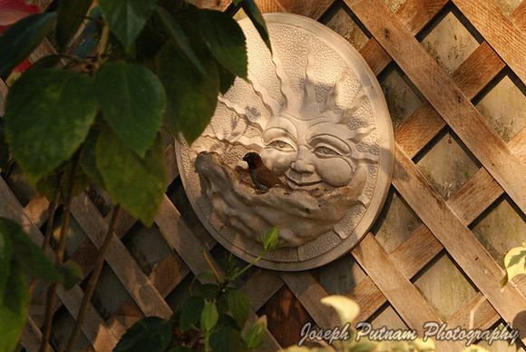 DSC09905