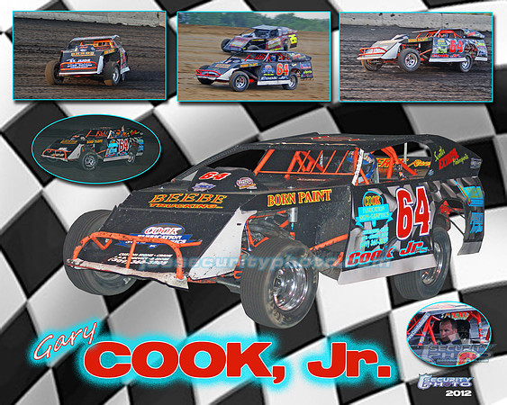 Cook Jr 2012 copy