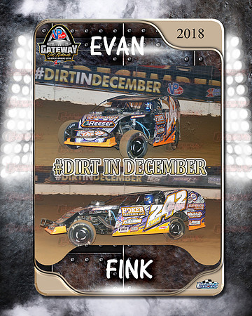 fink dome copy