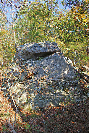 1975