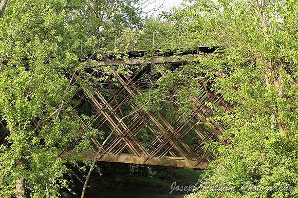 IMG_1195