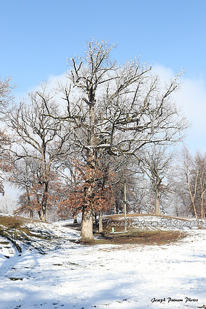AIMG_6044