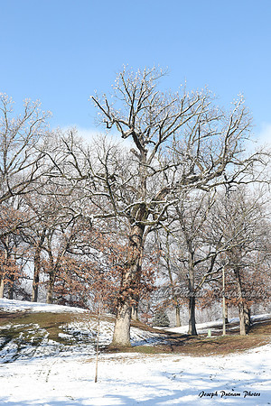 AIMG_6046