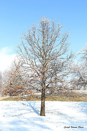 AIMG_6052