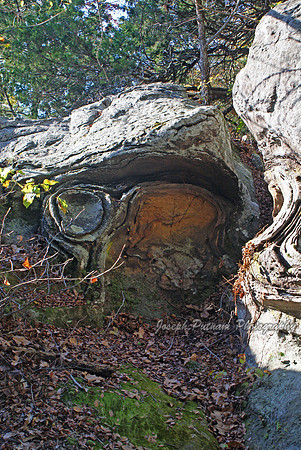 2010