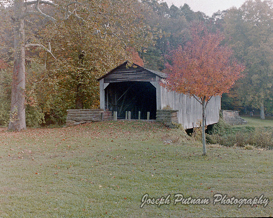 10-11-2003_003_8x10